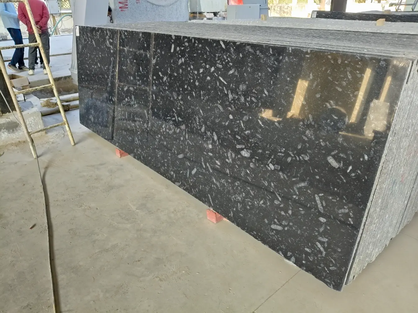 Image 5